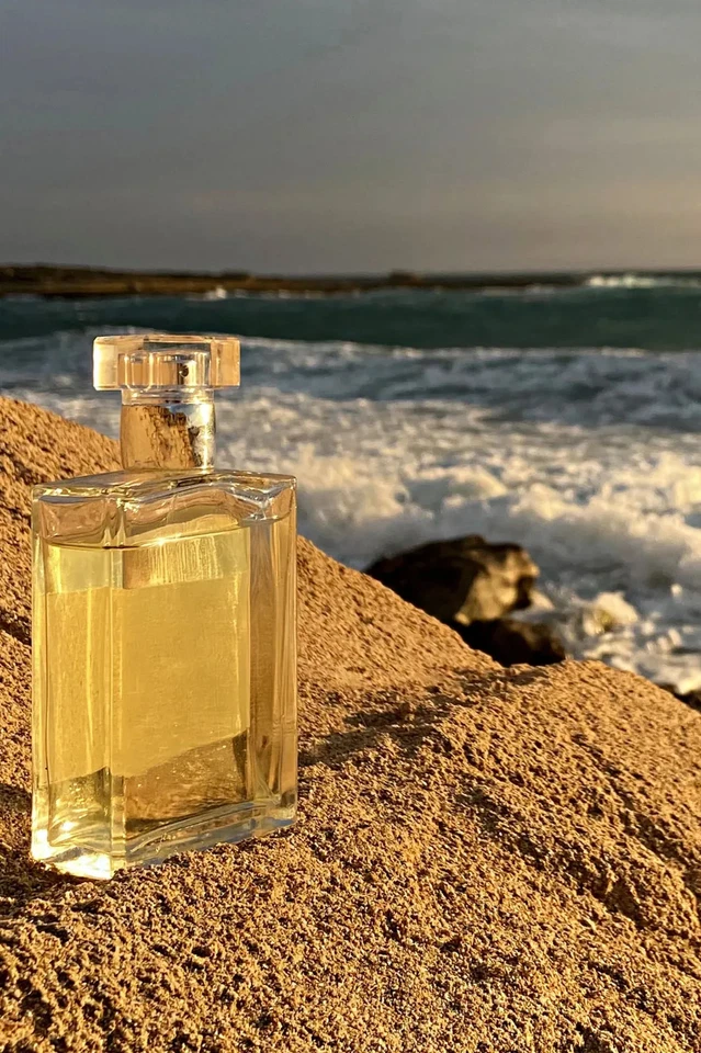 🏝️Scent Sensations: Fragrances & Bundles Blowout! 🏖️