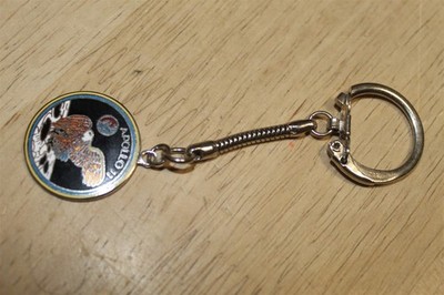 APOLLO 11 NASA LOGO SMALL 1969 KEYCHAIN / RING 