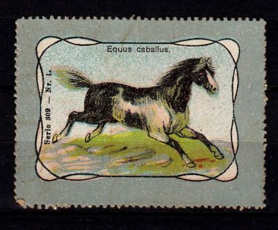 415725/ Reklamemarke   blanco   ex. Serie: Pferde   Equus Caballus