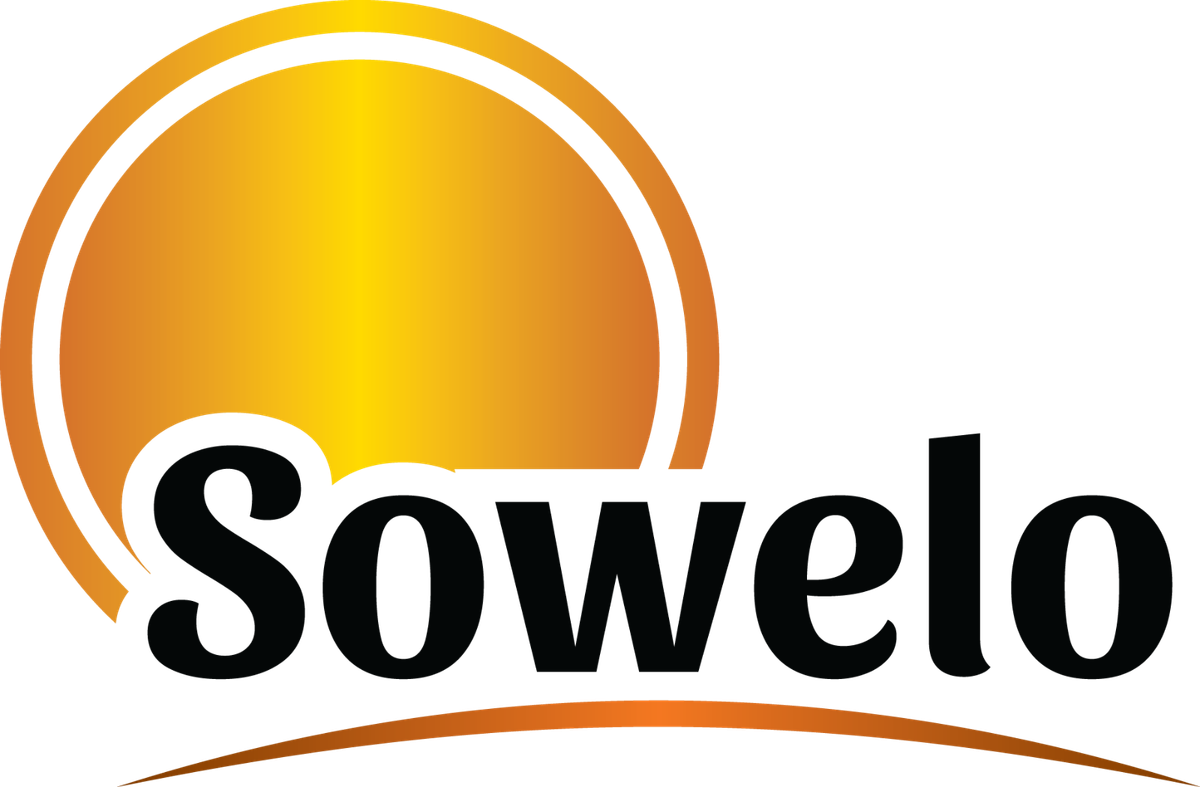 Comprimés De Choline 500 Mg Sowelo - Soutien Mémoire, Foie & Système Nerveux - 120 à 1200 Pilules