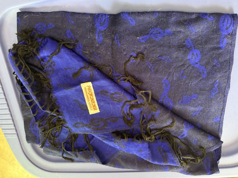 Women’s Decorative Music Note Scarf