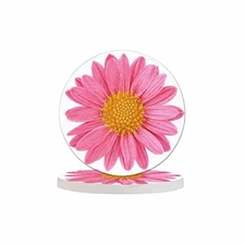 Pink Chrysanthemum Drink Coaster Isolated Beautiful Blossom Beautiful Home 
