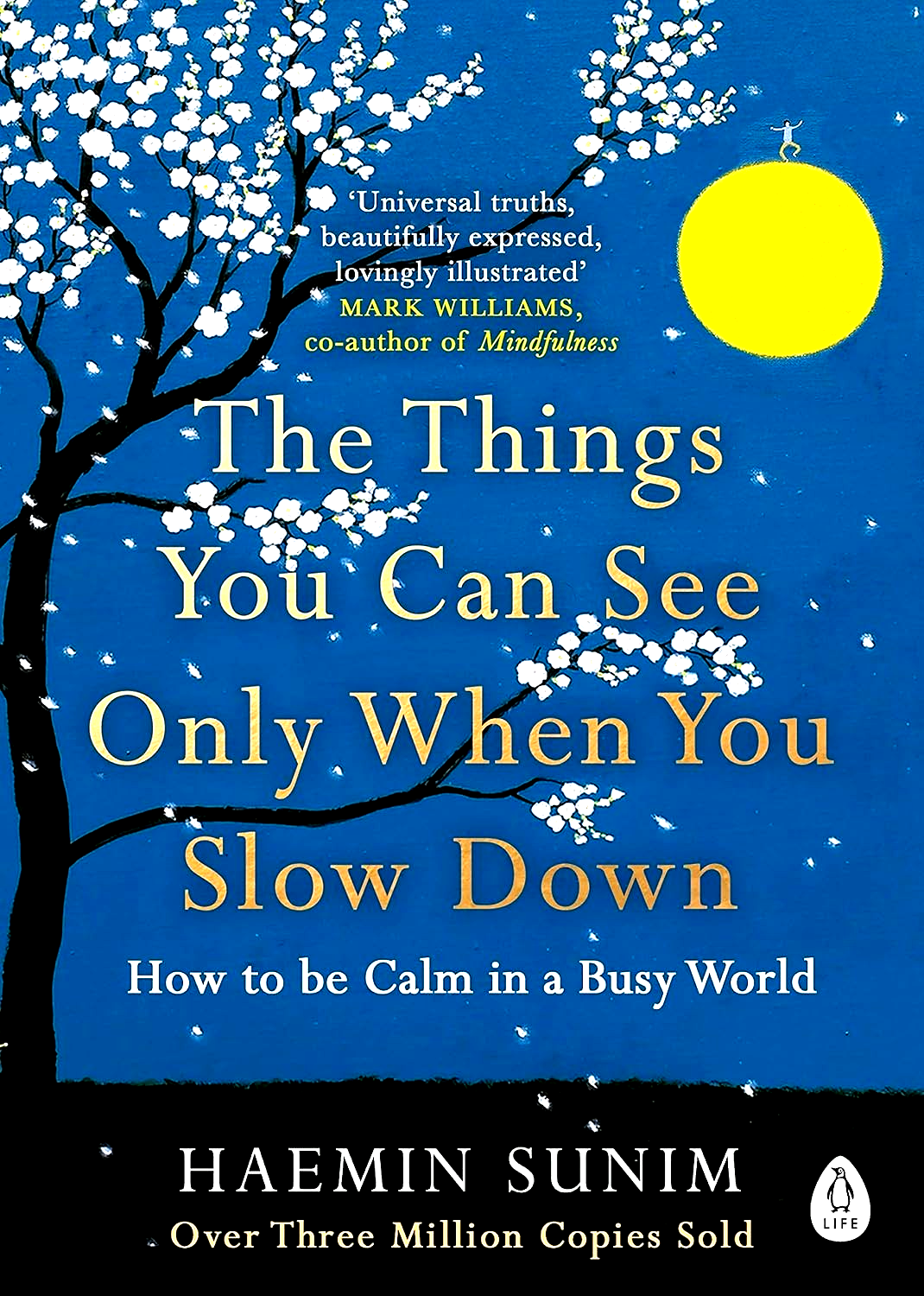 Things You Can See Only When You Slow Down: Bring Calm to Your Life:Haemin Sunim
