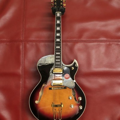 Ledux ZW Byrdland Sunburst Hollow Electric Guitar 6 Strings Gold Hardware