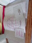 Bild 5 von 5