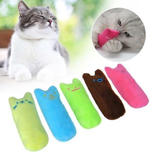 18 Cat Grinding Teeth When Eating Image