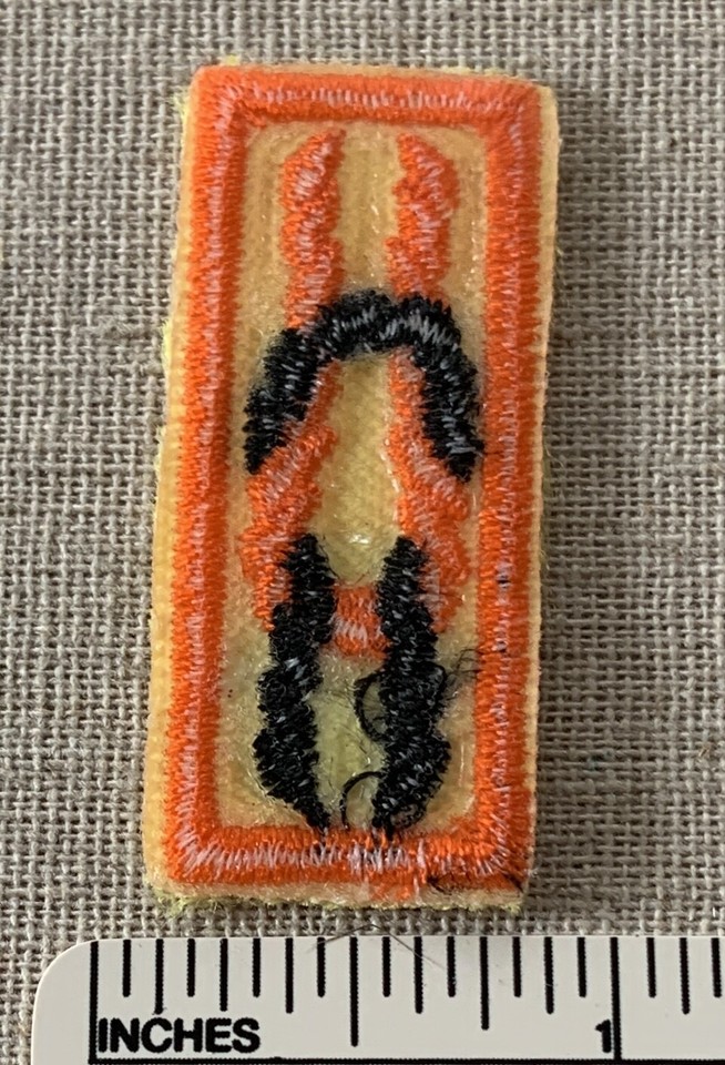 Patch "Tiger Cub Den Leader Award" BSA - Neuf - Pour Chefs Scouts Boy Scouts Of America
