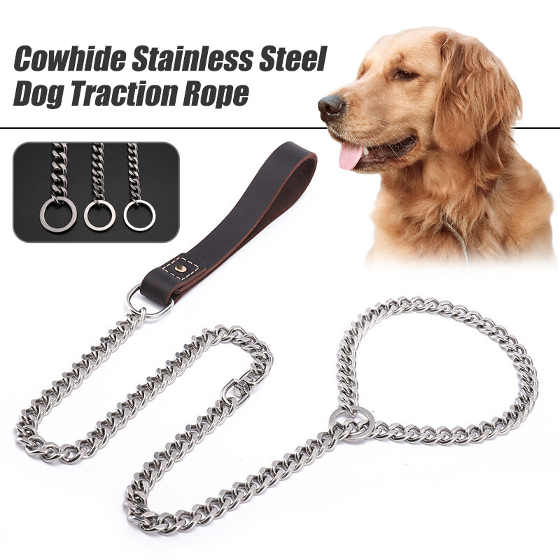 Dogs Training Choke Collar Metal Necklace Slip Lead Chain Leash