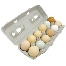 Blank Natural Pulp Egg Cartons Pack of 20 New