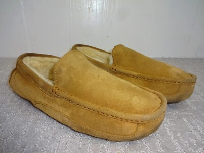 UGG Ascot Men