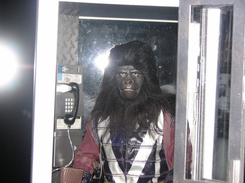 Gorilla Captain MMS89 Planet of the Apes Hot Toys 2009 MISB