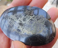 Fish Coprolite (Pyrite inclusions) - Wardie point, Edinburgh - Carboniferous