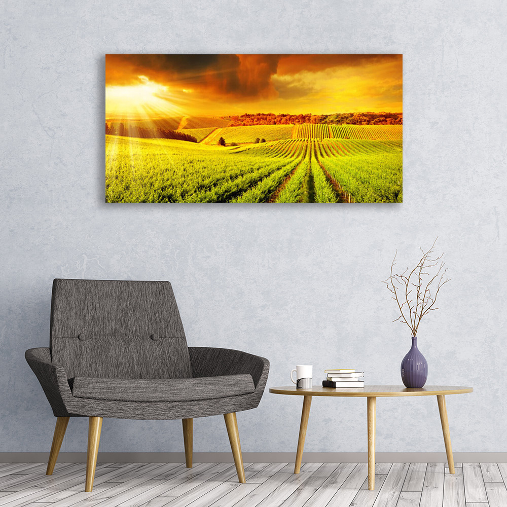 Tableau plexiglas 120x60 effet miroir impression paysage de campagne - 2