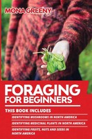 Foraging For Beginners Mona Greeny Taschenbuch Foraging For Beginners Englisch