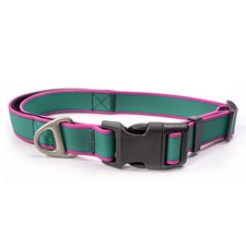 Waterproof Stain-Resistant Dog Collar, Green  Pink Color Block Pet Neck Strap,