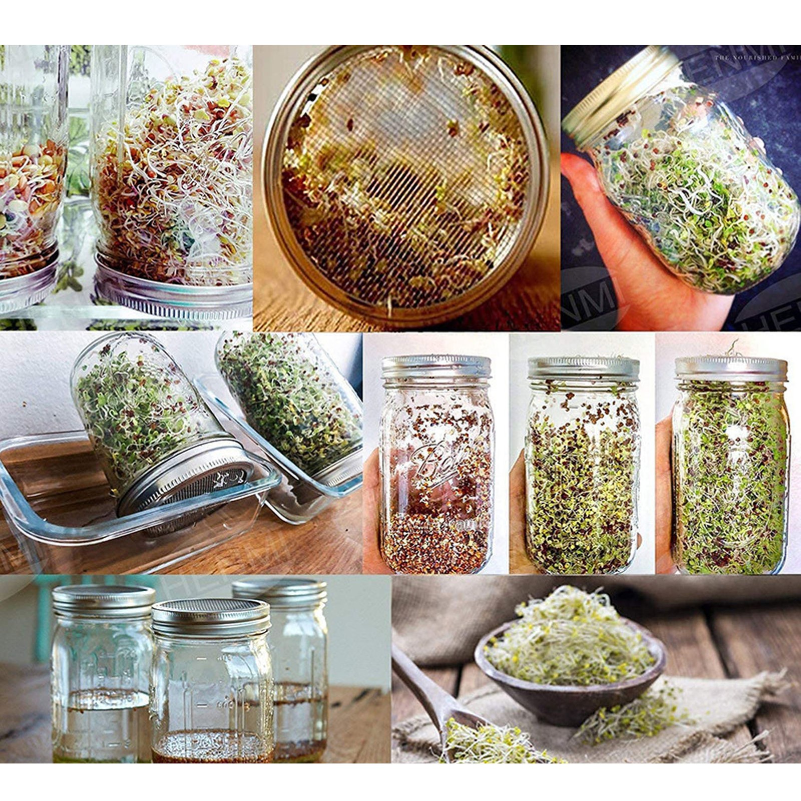 (Set Of 2) Germination Jars