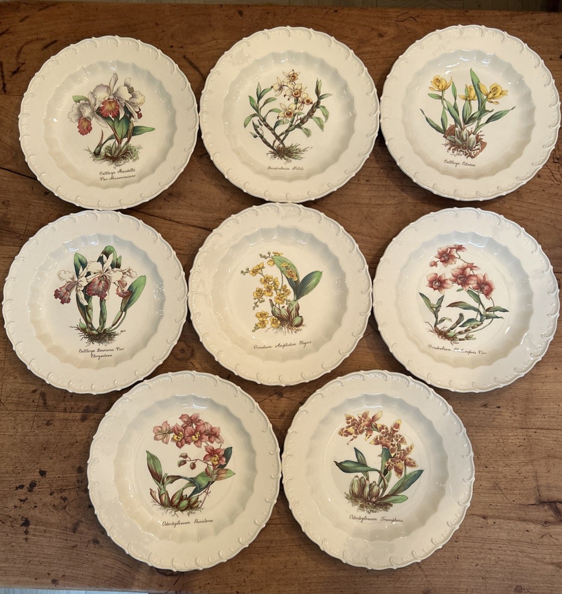 Set of 8 Copeland Spode England Orchid 9