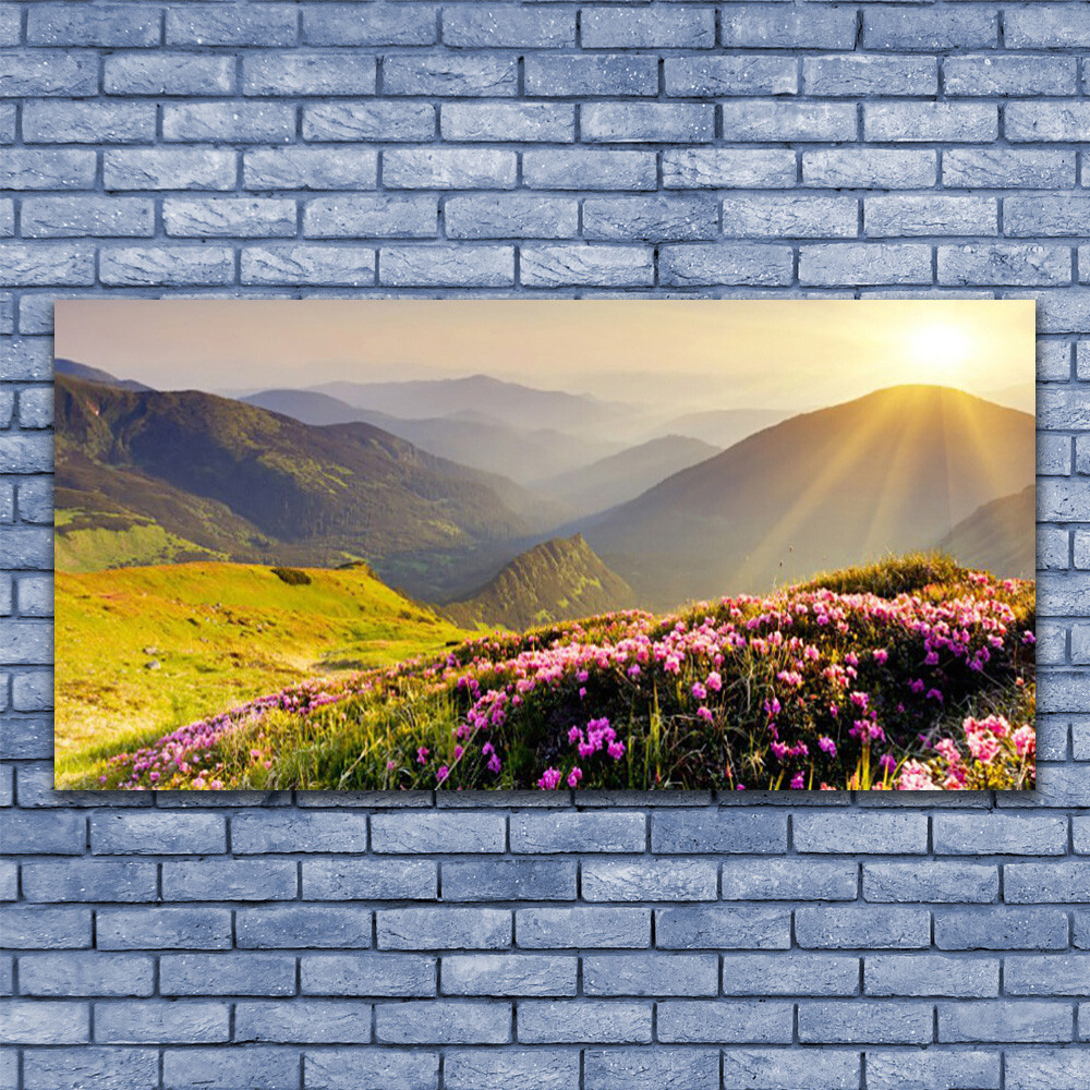 Tableau sous verre 140x70 prairie et montagne pour decoration salon moderne