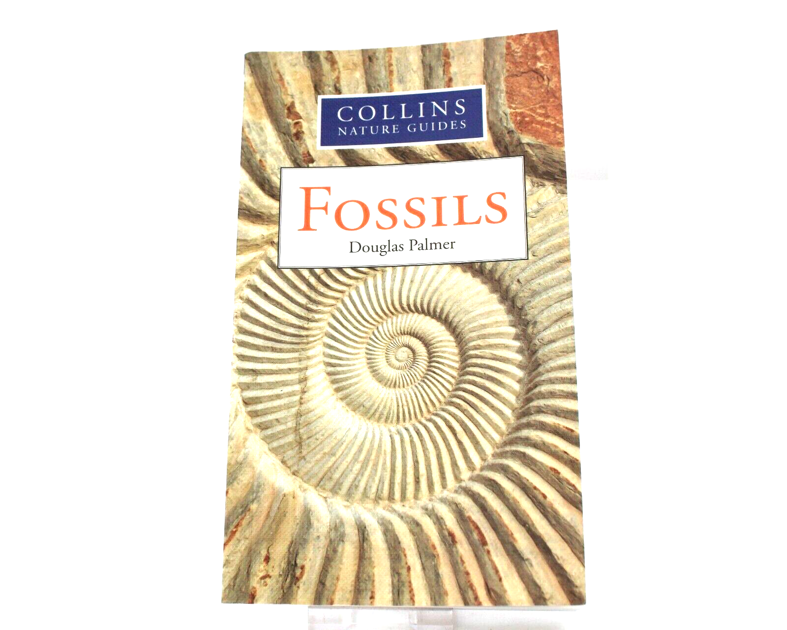 Fossils  by Douglas Palmer