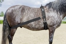 Lehmann Trainingssystem f&uuml;r Reiten und Longieren #4304