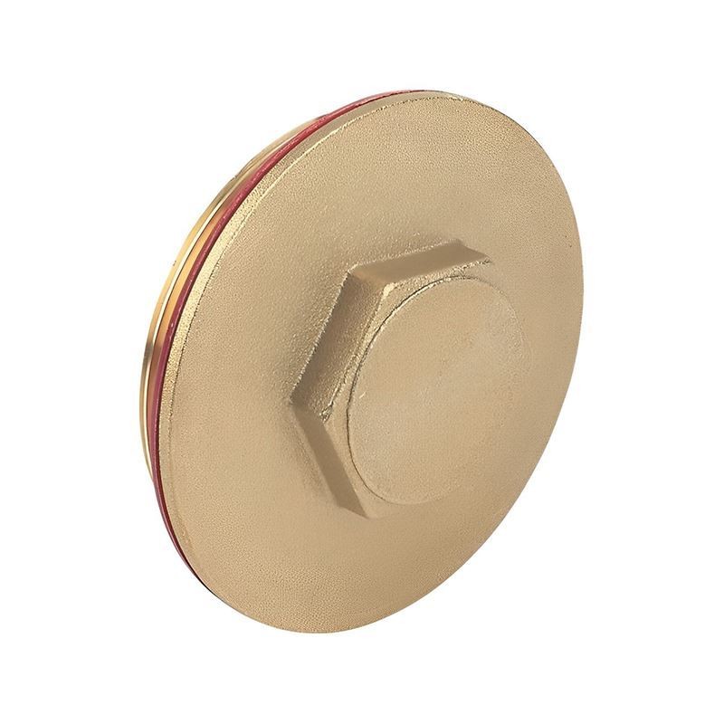 2.1/4"" Brass Immersion Heater Plug & Washer - FREE Next-Day Delivery - Image 2