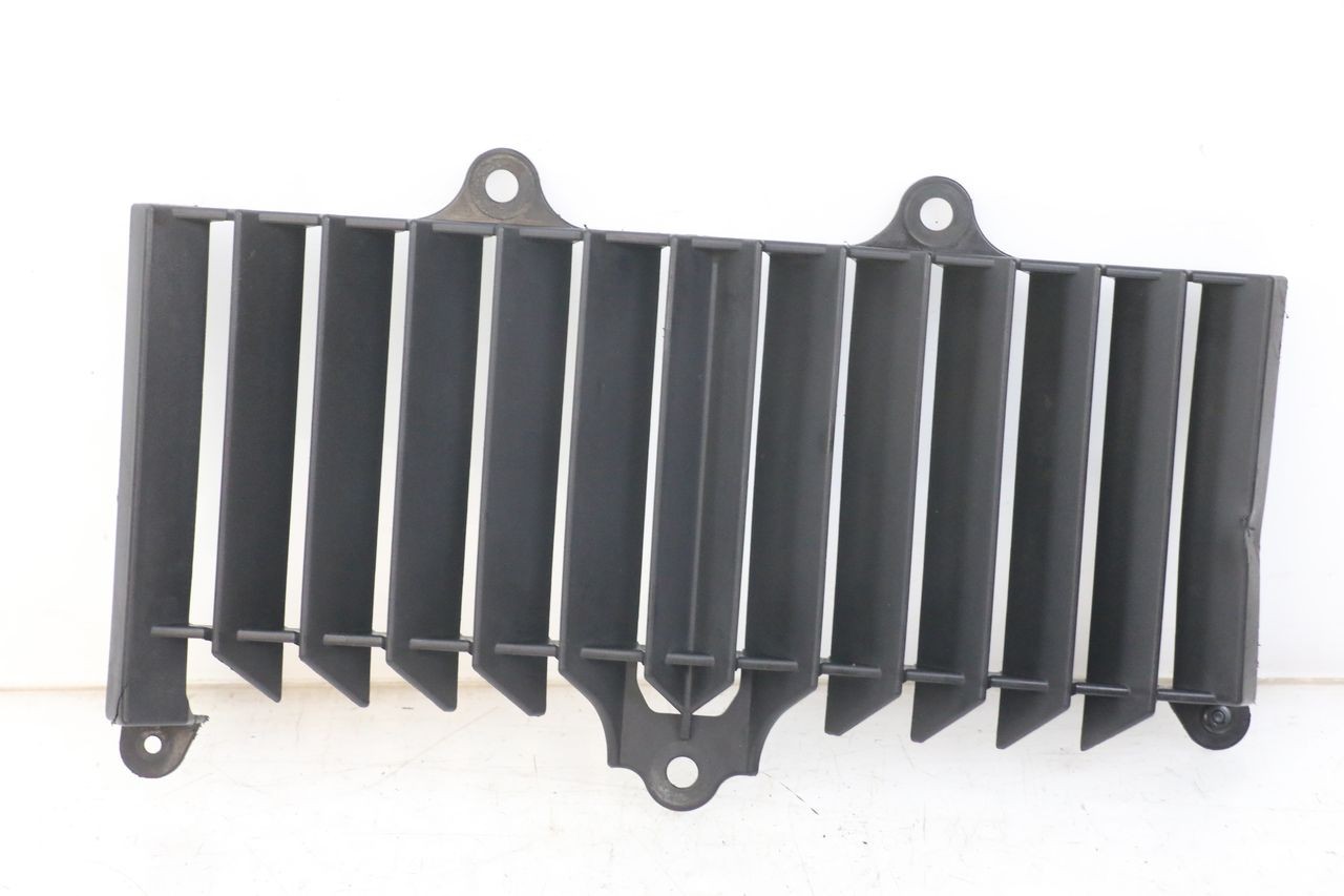 RADIATOR GRILLE - YAMAHA XT X 660 (2004 - 2016)