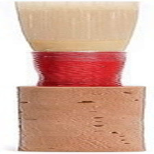 Jones JR101M Oboe Reed; Medium,Natural