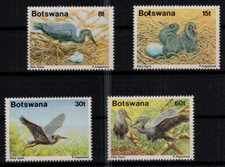 Botswana; Braunkehlreiher 1989 kpl. **
