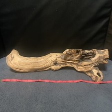 Driftwood Taxidermy aquarium decor 20in/6in/5in