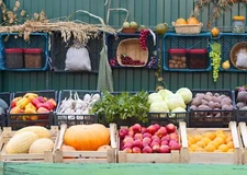 5x3ft Fabric Farmers Market Backdrop Vegetables Grocery Store Fruits Vegetabl...