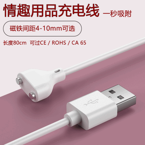2pin Magnetic Charging Cable Center Magnet Suctio USB Power Charger Waterproof - Picture 7 of 17