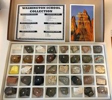 Washington School Collection 40 Rock Mineral ...