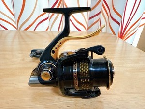 Daiwa Morethan Branzino | eBay