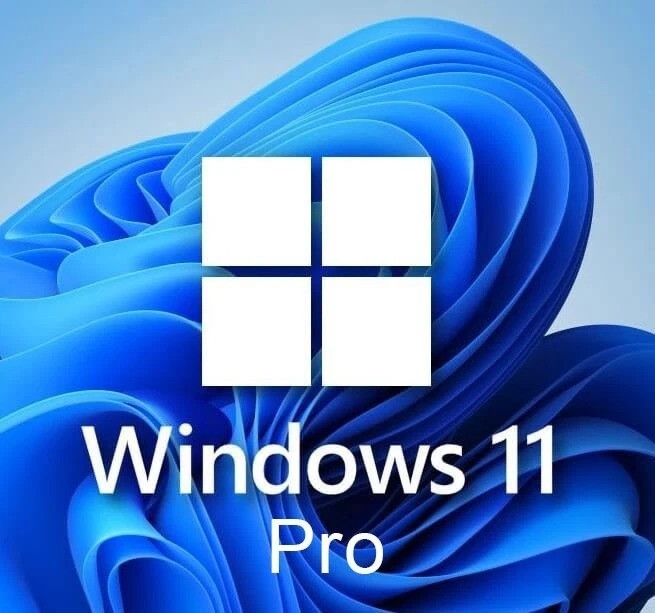 WINDOWS 11 PRO lNSTANT DELlVERY