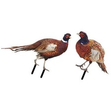 Huhn und Pfau als Gartendeko Set aus Acrylmaterial für den Außenbereich