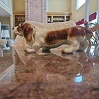 McCoy Pottery Large Basset Hound Dog Planter Succulent Pot USA Vintage 16" long