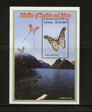 H071  Zambia  2005   butterflies  moths   sheet    MNH