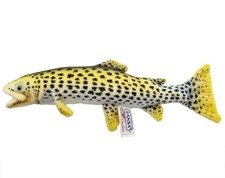 Rainbow Trout No6047