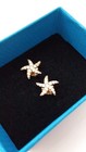 Natural Zircon Gems Starfish Stud Earrings — photo 1