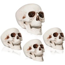 4 Pcs Skull Heads Halloween Decor Include Life Size Skeleton and Small Plasti...