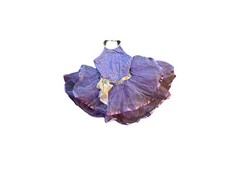 Purple Ballet Tutu