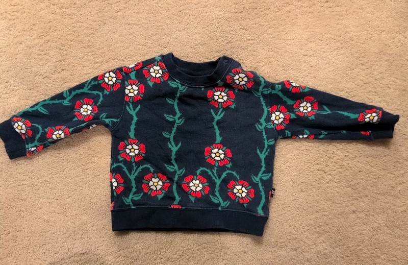 Target X Rowing Blazers Baby Rose  Sweatshirt Size 12 Months 