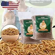 22 lbs Dried Mealworms High Protein Bulk Sale Non-GMO Food For Chicken Bird Duck