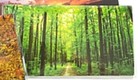 Bild 58 von 67
