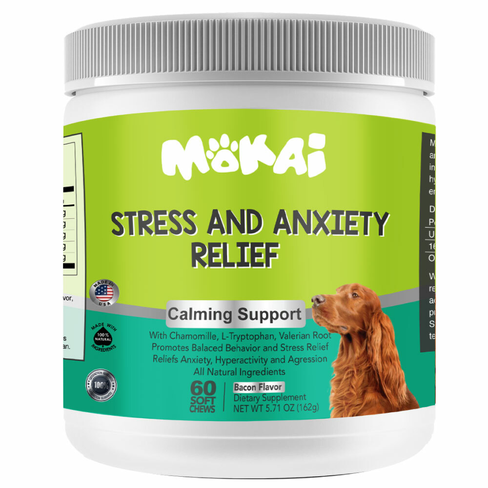 natural anxiety relief for dogs