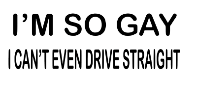 DUMING-IN I'm So Gay I Can't Even Drive Straight Car Magnet - Foto 12