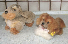 2x Steiff Animal / Dog 1 Pekingese 4030/14 Peky 1 Dachshund Raudi by Steiff