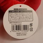 Foto 10 di 10