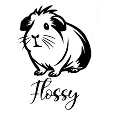 GUINEA PIG WALL LAPTOP CAR WINDOW CAGE HUTCH VINYL DECAL / STICKER ANY COLOUR