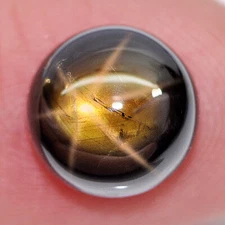 Star Sapphire Golden 6 Ray Certified 3.46 Ct.Natural Gem Round Cab8.16 x 8.24Mm.